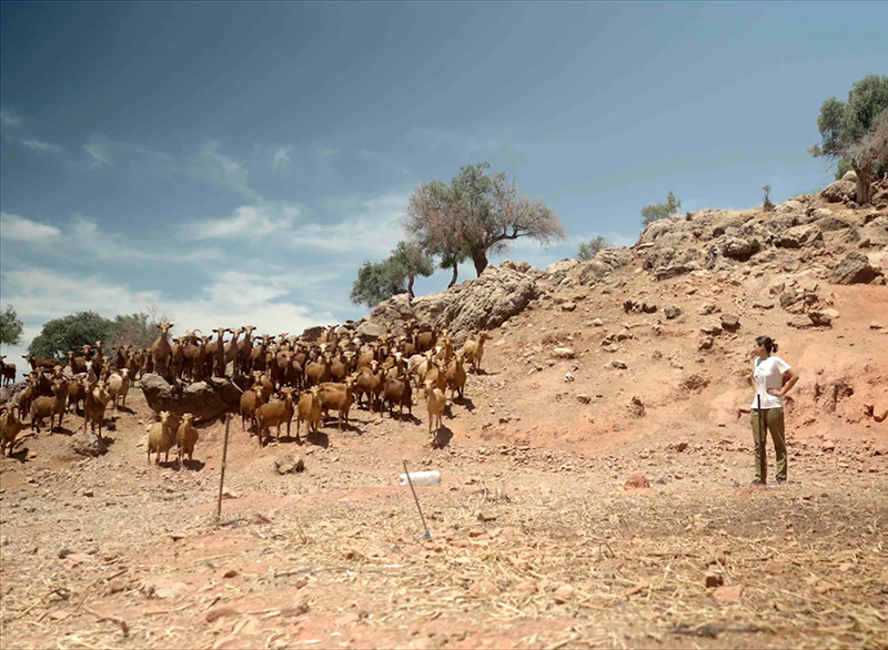 "Aquí hay empleo" invita a los jóvenes a trabajar en el medio rural