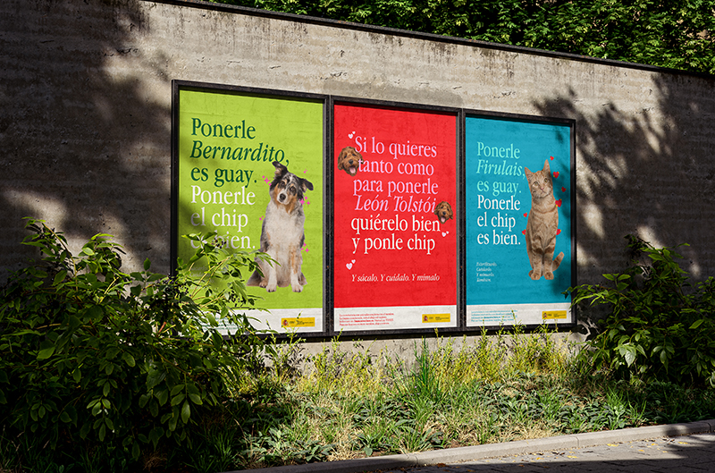 Por una esterilización responsable de mascotas