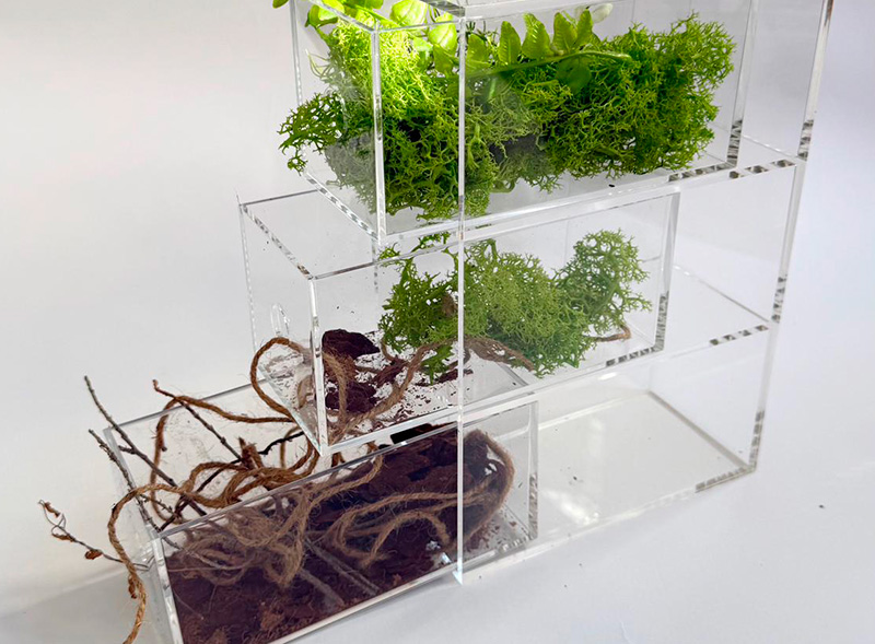 Transformando la forma en que los jóvenes acceden al sector creativo