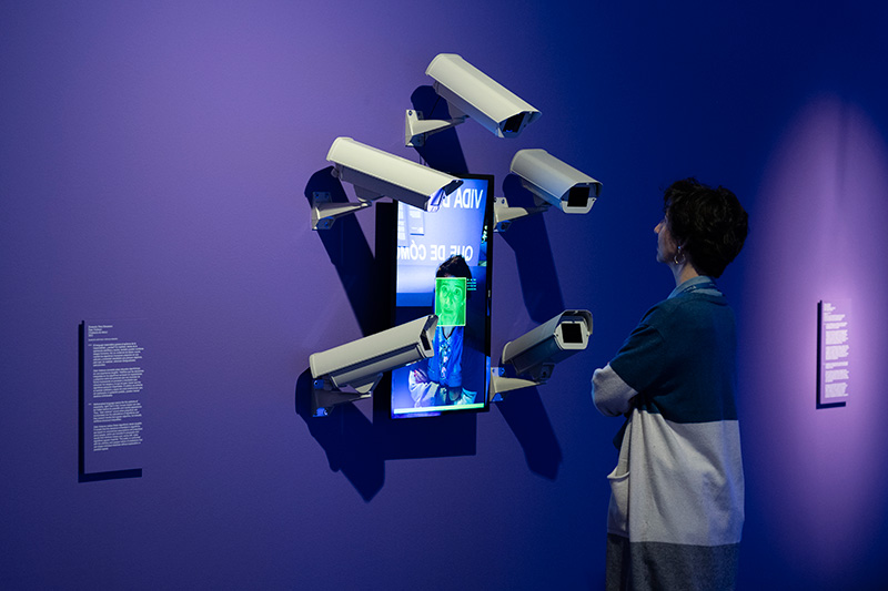 Hoy es un buen día para hablar de derechos digitales.