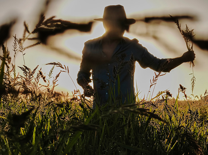 Xiaomi España presenta “Comer con los Ojos: El Ingrediente Final”.