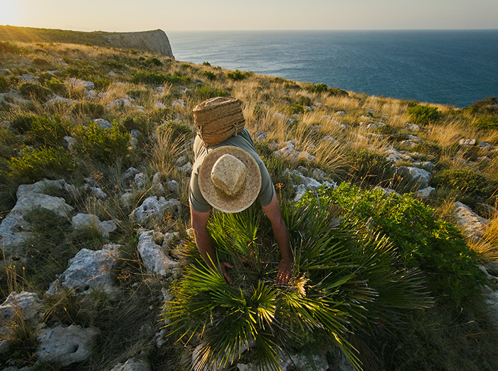 Xiaomi España presenta “Comer con los Ojos: El Ingrediente Final”.