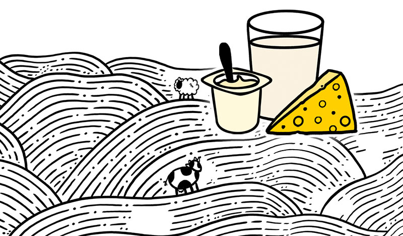 Disfrutar de una Navidad “sin desperdicio”