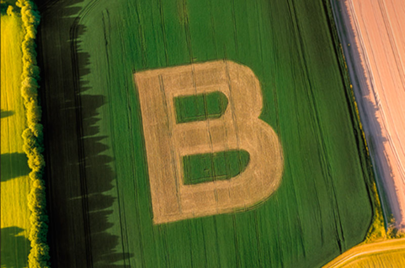 El Grupo Bonduelle obtiene la certificación B Corp