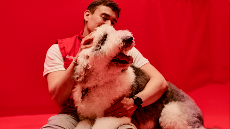 "Pausa en Fallas", experimento de Generali para cuidar a las mascotas