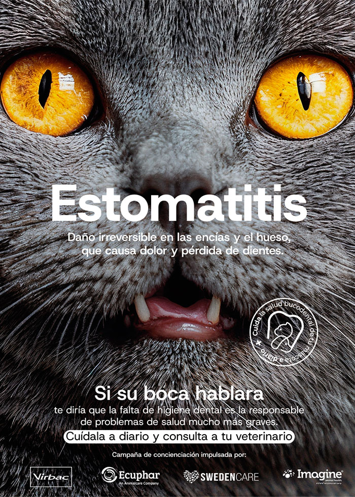 Campaña sobre la salud bucodental de las mascotas.