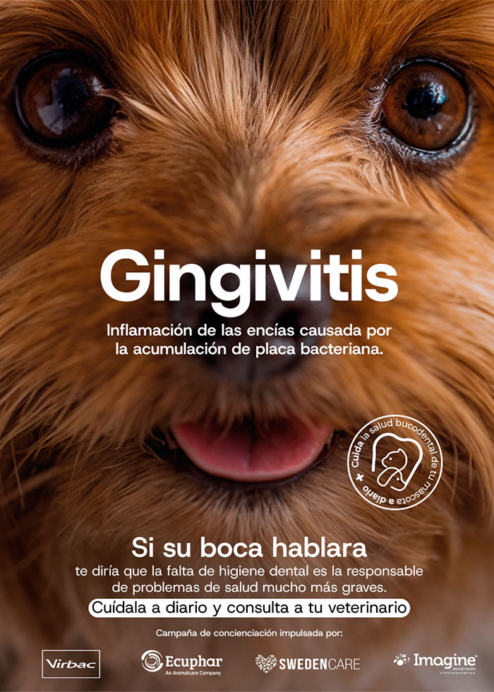 Campaña sobre la salud bucodental de las mascotas.