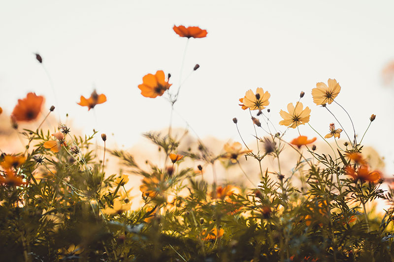 Expectativas de crecimiento de inversión, a pesar de la inestabilidad global