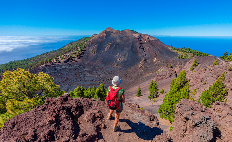 LLYC, nuevo partner estratégico de Turismo de Islas Canarias
