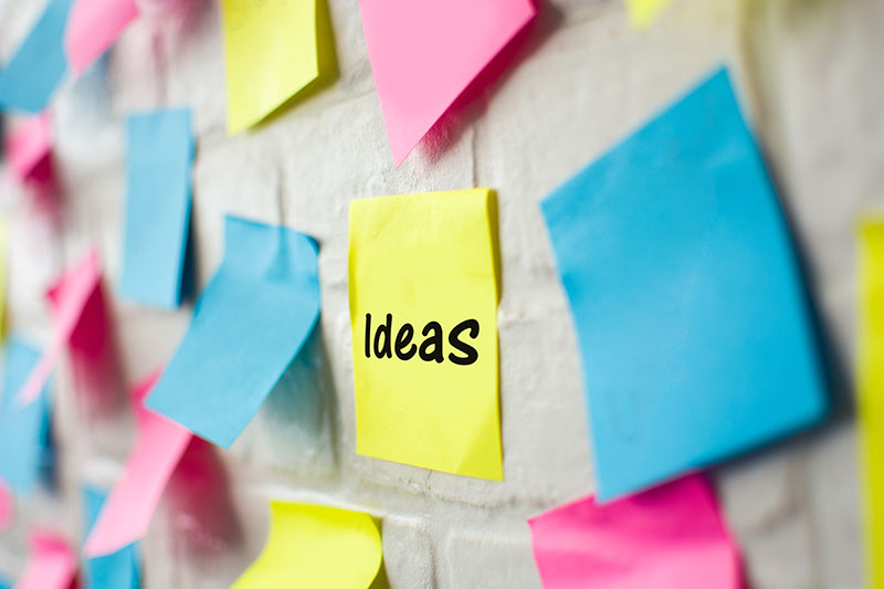 La expectativa vs. La realidad