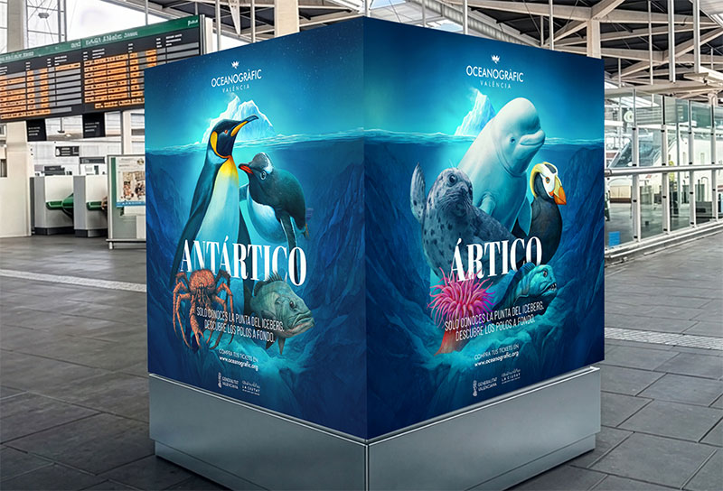 Oceanogràfic Valencia presenta “Sólo conoces la punta del iceberg”