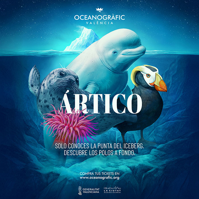 “Sólo conoces la punta del iceberg”.