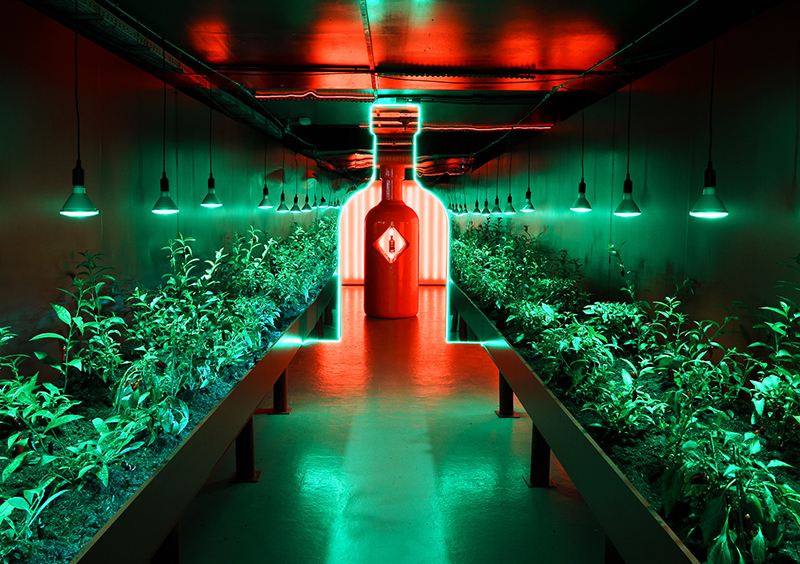 Absolut Tabasco prende la noche de Madrid