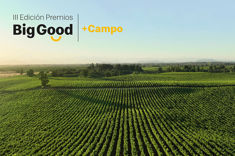 McDonald´s convoca la III edición de los Premios Big Good