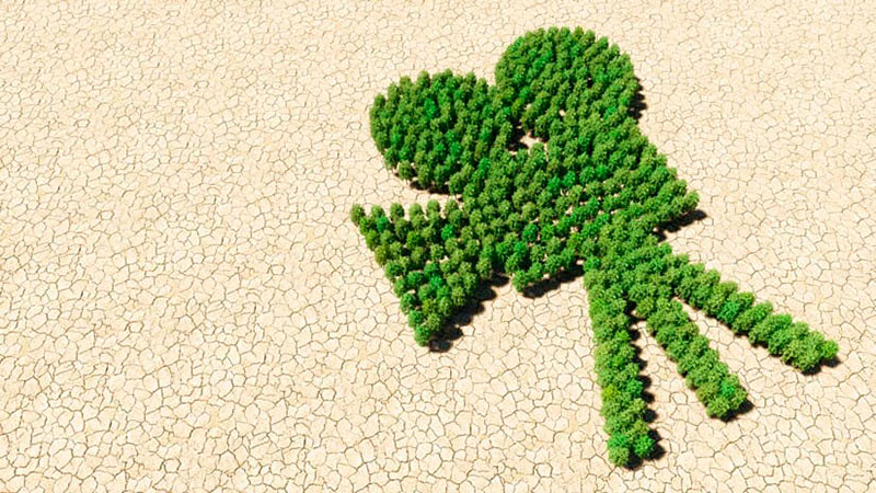 GreenWorking Awards 2026 para vídeos de turismo sostenible