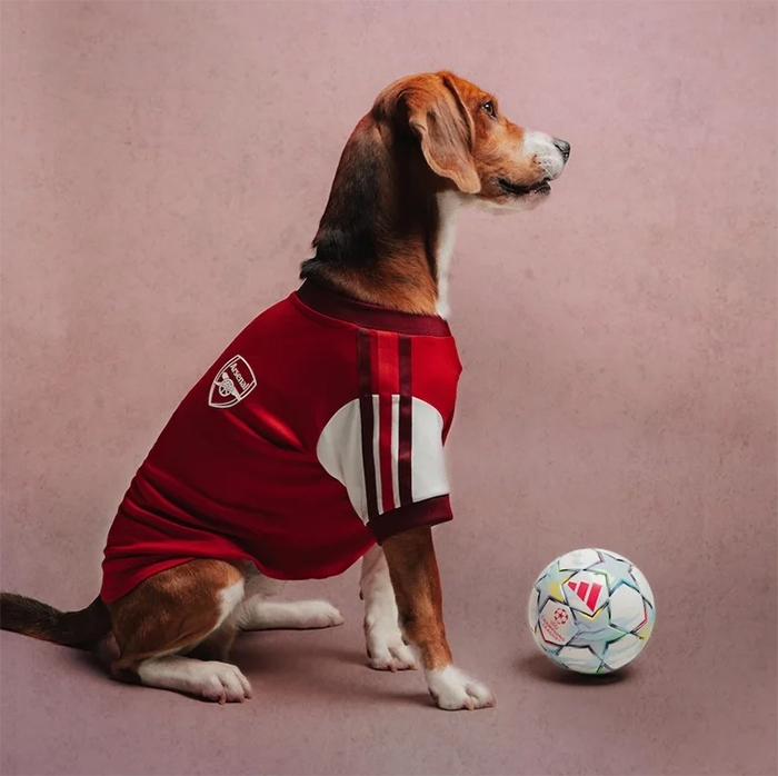 Adidas viste a las mascotas con camisetas de grandes clubes.