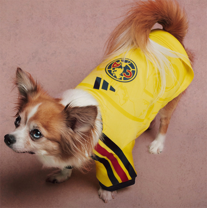 Adidas viste a las mascotas con camisetas de grandes clubes.