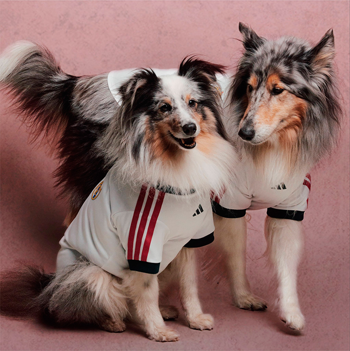 Adidas viste a las mascotas con camisetas de grandes clubes.