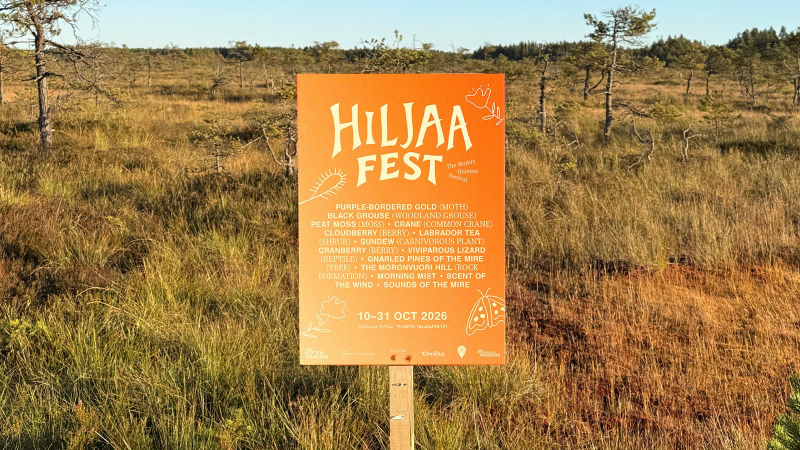 “Quietchella”: el festival dedicado a escuchar la naturaleza llega a Finlandia